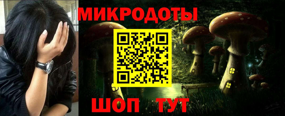 закладка  Псилоцибиновые грибы ЛСД  Алексеевка  Вход с VPN  Псилоцибиновые грибы Magic Shrooms 